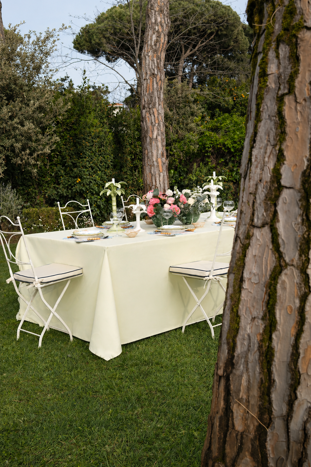 Tablecloths