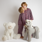 Kids - Pyjama Collection - Blue & Red Mountain